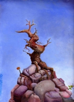 Tree on Rocks